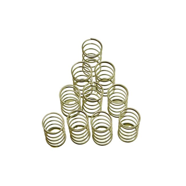 Beacon Medaes 6-833426-PG Secondary Vale Assembly Springs