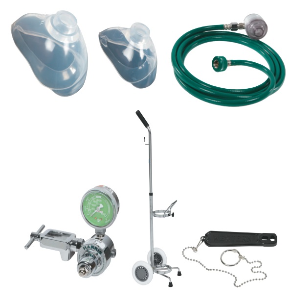 Belmed E200 O2 Portable Demand Valve System